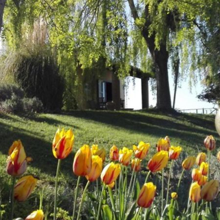 Agriturismo Quartopodere Villa Magliano in Toscana Bagian luar foto