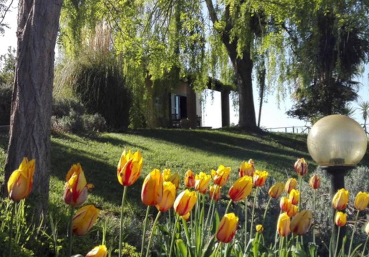 Agriturismo Quartopodere Villa Magliano in Toscana Bagian luar foto