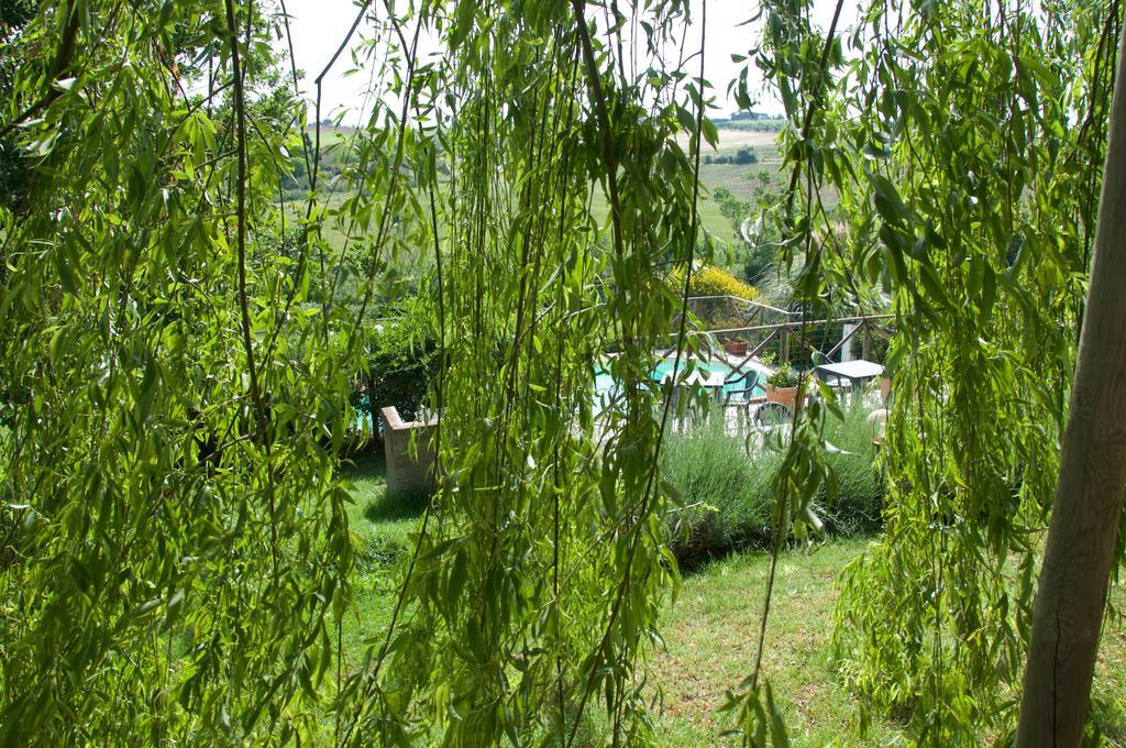 Agriturismo Quartopodere Villa Magliano in Toscana Bagian luar foto