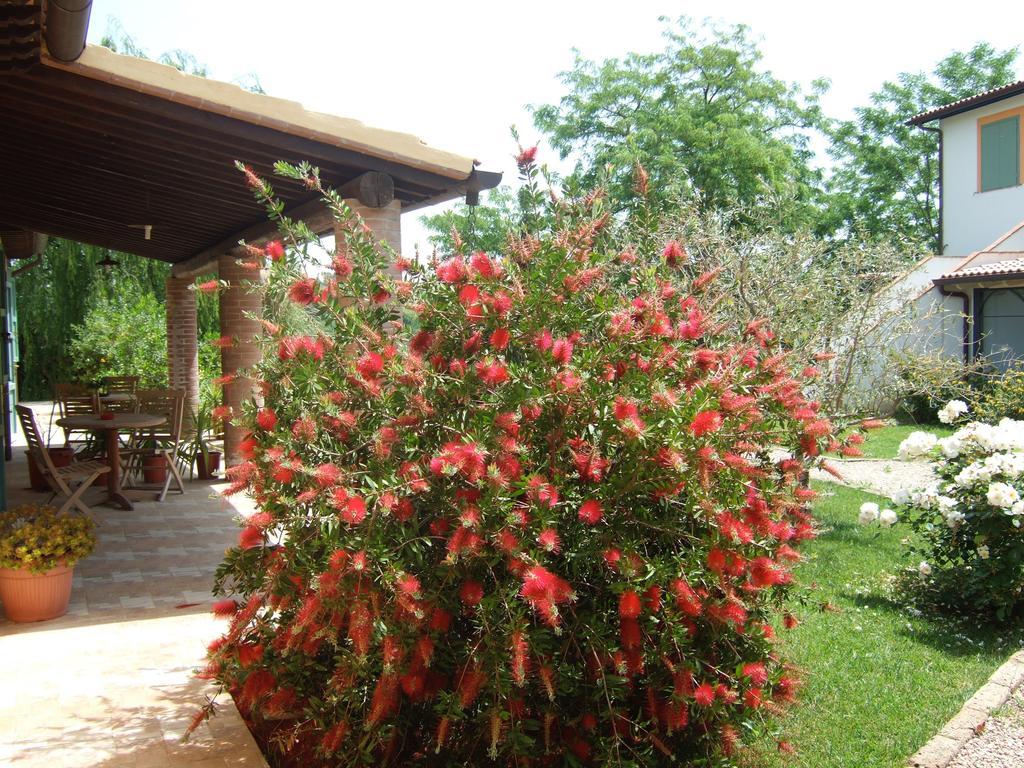 Agriturismo Quartopodere Villa Magliano in Toscana Bagian luar foto